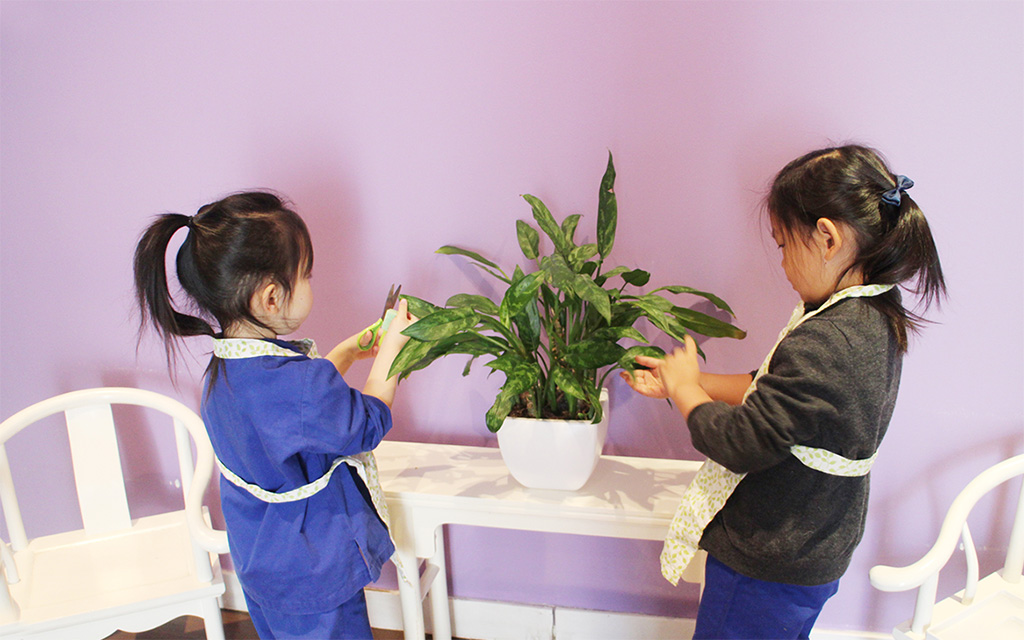 “美德在我心”品格教育